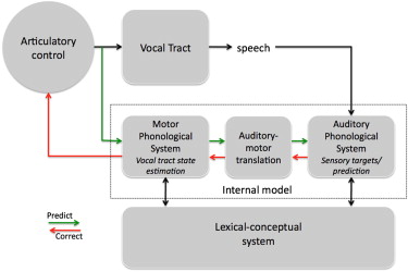 A Unified Anatomically Based Model for Speech Production and Perception ...